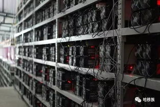 Kazakhstan's energy-efficient mining farm hosting advanced mining equipment