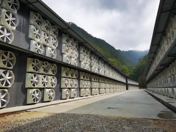 Inside view of a well-structured Bitcoin mining farm
