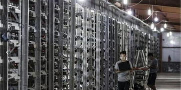 A mining farm located in the French countryside, powered by renewable energy sources, with solar panels and wind turbines visible in the background.