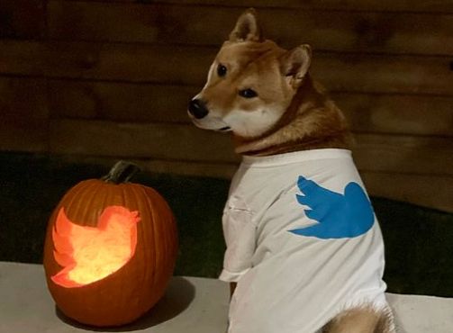 Dogecoin mining