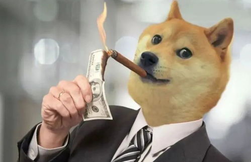 A playful graphic of the Dogecoin Shiba Inu mascot superimposed on a digital circuit board, symbolizing the fusion of meme culture and cryptocurrency technology.